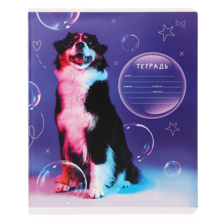 Notebook 12 sheets in a frequent slant on the clip "Dog", cover shaking cardboard, VD-smies, mix-2