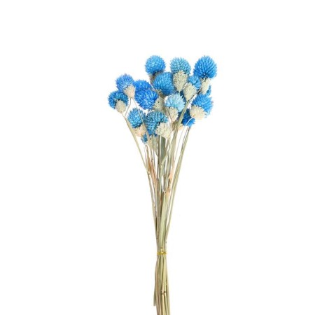Sukhotzet "Gofreni Sherrovid" set 20 pcs., Blue color-3