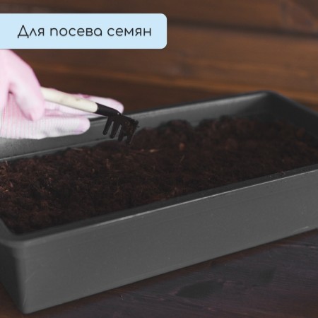 Box for seedlings, 40 × 20 × 10 cm, 4 l, mix, "super crop"-4