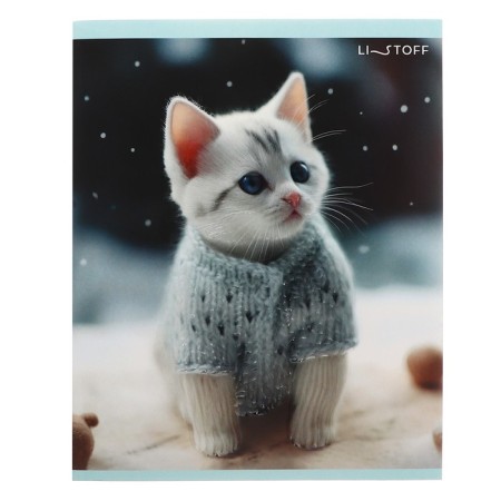 Notebook of 48 sheets in the cage "Winter cats", covered cardboard, matte lamination, selective UV-lame, block 60g/m2, mix-4