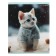 Notebook of 48 sheets in the cage "Winter cats", covered cardboard, matte lamination, selective UV-lame, block 60g/m2, mix
