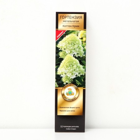 Hydrangea blizzard Patio Lux "Cotton Crime", 1 pc, tube, spring 2025