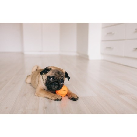 Brying toy "dumbbell with paws" for dogs, 13 cm, yellow-4