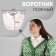 False collar, neck diameter = 42 cm, 31.5 × 20.5 cm, white color