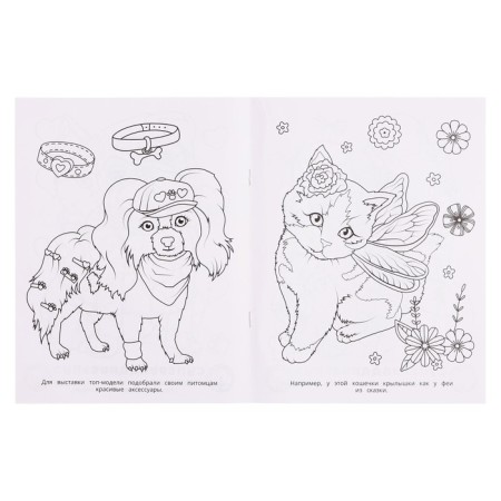 Coloring "Stylish pets"-4