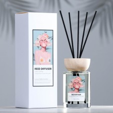 The aromatic diffuser 