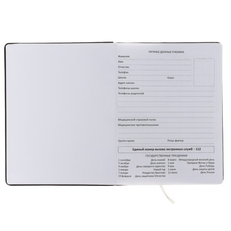 Universal diary for grade 1-11 Break Rules, hard cover, artificial leather, foam rubber, liesse, 80 g/m2-3