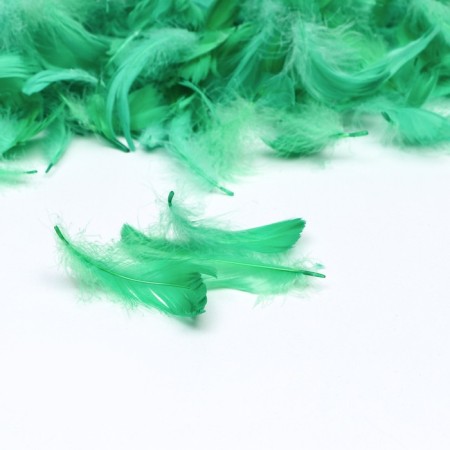 Filler from feathers for balls and gifts, khaki, 6g. Mix