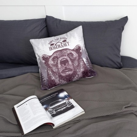 Pillowcase of decorative Ethel "Winner" 40x40 cm, velor, 100% p/e-1