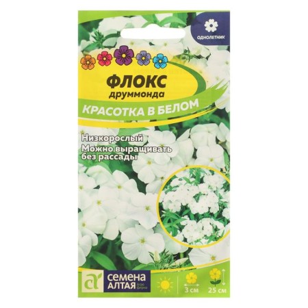 Flocus seeds Flox "Beauty in White", Drummond, Sem. Alt, c/p, 0.1 g