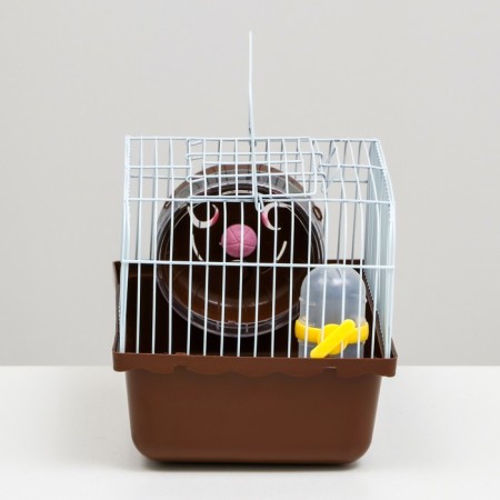 The cage for rodents "Pigzon", 23 x 17 x 17 cm, brown-2