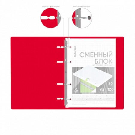Notebook on rings A5 100 sheets of Erichkrause IQ Fineline Classic Plastic Cover Red, OFSET 80 g/m², White is 100% mix