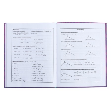 Universal Diary Grade 1-11, 48 sheets "Techno Tiger", integral cover, matte lamination, selective UV-lace-9