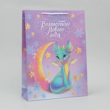 Laminated vertical "Magic" package, l 28 x 38 x 9 cm, new year-1