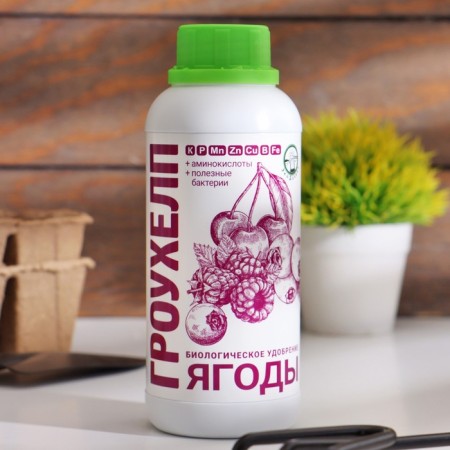 Fertilizer liquid gross for fruit and berry plants, 500 ml