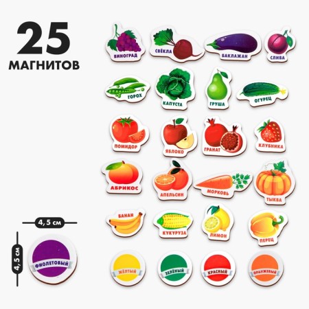 Developing magnets “Studying colors and vegetables - fruits” (set 25 pcs)-1