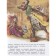 African tales