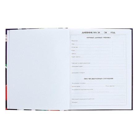 Diary for grades 1-4 "back to school. Collage", solid cover, glossy lamination, 48 sheets-3