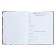 Diary for grades 1-4 "back to school. Collage", solid cover, glossy lamination, 48 sheets