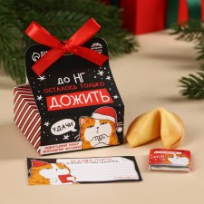 Set: Cookies with a prediction, chocolate and a piece of paper to fulfill the desires 