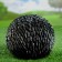 Garden figure "Hedgehog Tosha" 24x18x15cm
