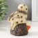Souvenir Polystone "Owl on a branch with flowers" 8x7x11 cm
