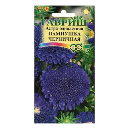 Flower seeds Astra pampushka is blueberry, pomponal, o, 0.3 g-2