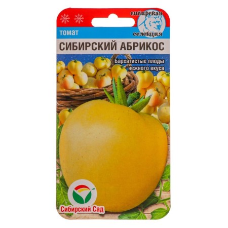 Siberian Apricot Tomat seeds, 20 pcs