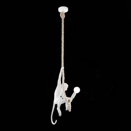 Suspension EVOLUCE. Sle115103-01. Tenato. 1x60 W, E27, 28x28x68 cm, white color-1