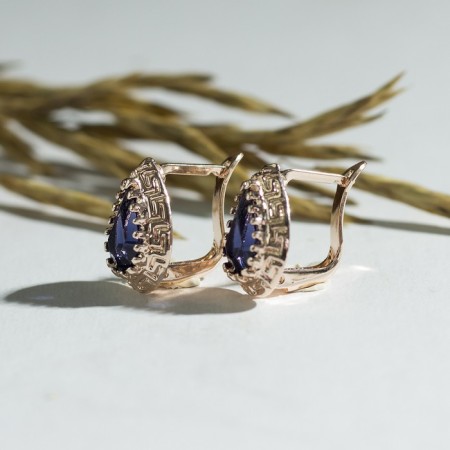 Earrings with rhinestones "Edel" drop, dark blue color in gold-1