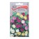 Flower seeds of Mirabilis "Night Beauty", 2.5g.