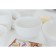 Porcelain salad Magistro "Elegy", 500 ml, d = 12.5 cm, white color