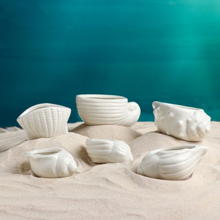 Set of Kashpo "Shell" 6pcs, 8x6x8cm, White-1