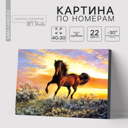 Picture on numbers on canvas with a subframe "Graceful run of a horse", 40 x 30 cm