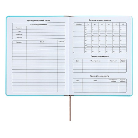 Universal diary for grades 1-11 Excellent, solid cover of artificial leather, silkography, lies, 48 ​​sheets, blue-4