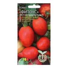 Seeds Tomat 