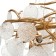 Cauls "Chips" G9 8x40W gold 60x60x15 cm Bayerlux