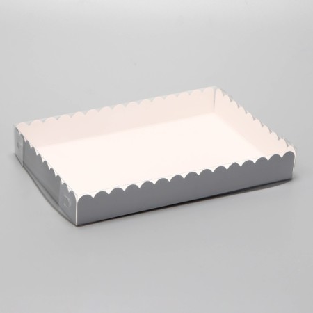 Box for cookies, silver, 22 x 15 x 3 cm-1