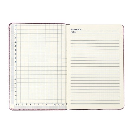 The diary is undathed, PVC cover, A5, 140 liter format, cell, metallic gold-10