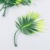 Decor for creativity "Palm leaf on the stem" set 5 pcs Green gradient 8x13.5 cm