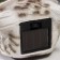 Souvenir Wall Polystone Light "White Eagle owl on a branch" from the solar battery 20x8x17.5 cm