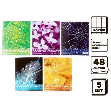 A set of notebooks of 5 pieces, 48 ​​sheets in the Calligrata Micromium cage, covered cardboard, offset block-1