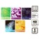 A set of notebooks of 5 pieces, 48 ​​sheets in the Calligrata Micromium cage, covered cardboard, offset block