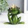 Souvenir Polystone Lak "Frog-Kvakushka in the crown" Mix 8.3x7.5x5 cm