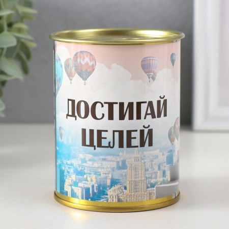 Pigging bank Metal "achieve goals"