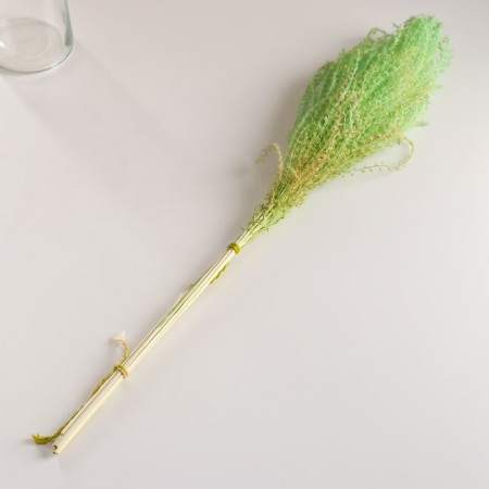 Set of dried flowers "Miscantus", banch 3-5 pcs, length 60 (+/- 6 cm), green-3
