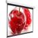 Screen 240x240 cm, Digis Electra-F Dsef-1108, 1: 1, wall-flow, roll, drive