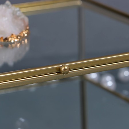 Organizer for storage "Mountains", with a lid, glass, with a mirror -bottom, 1 section, 20 × 16 × 6.5 cm, the color is transparent/copper-8
