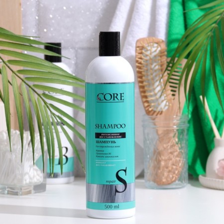 Shampoo Le Core "Restoration", 500ml