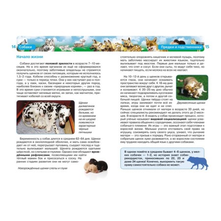 Children's Encyclopedia "Dogs"-1